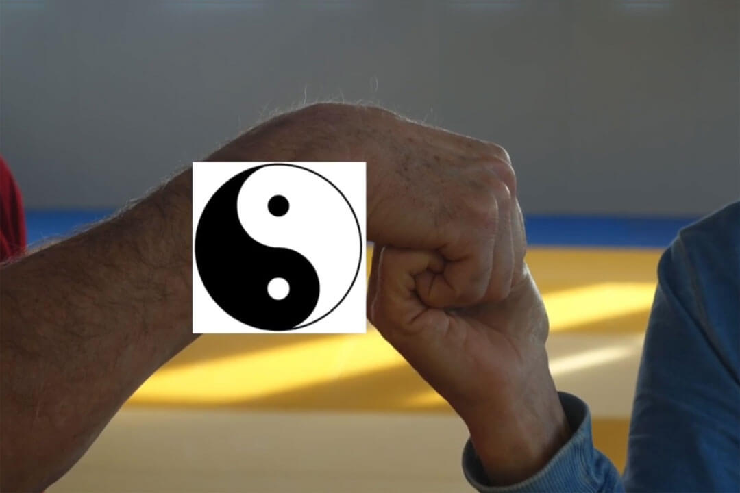 Mains-yin-yang dispute