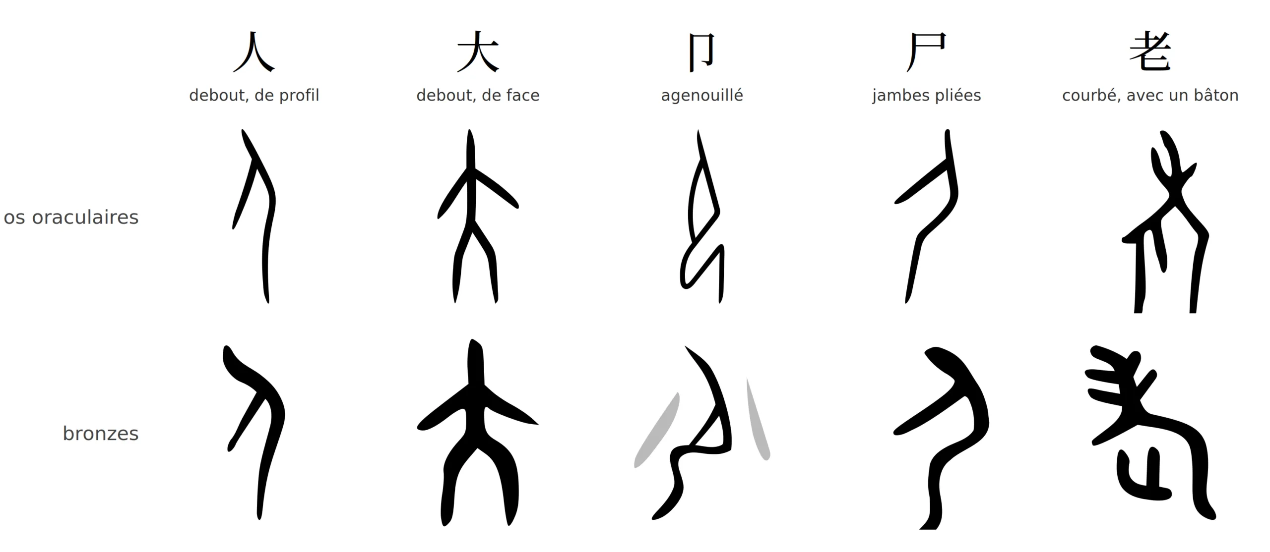 planche_postures pièces